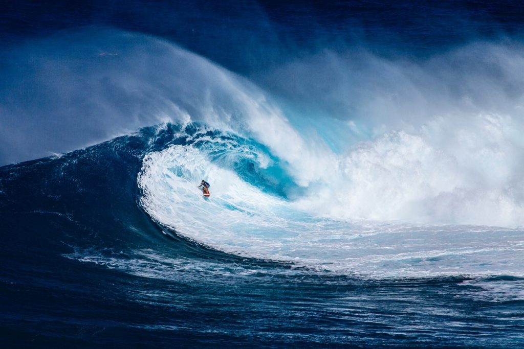 surf