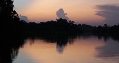 amazonia y el clima