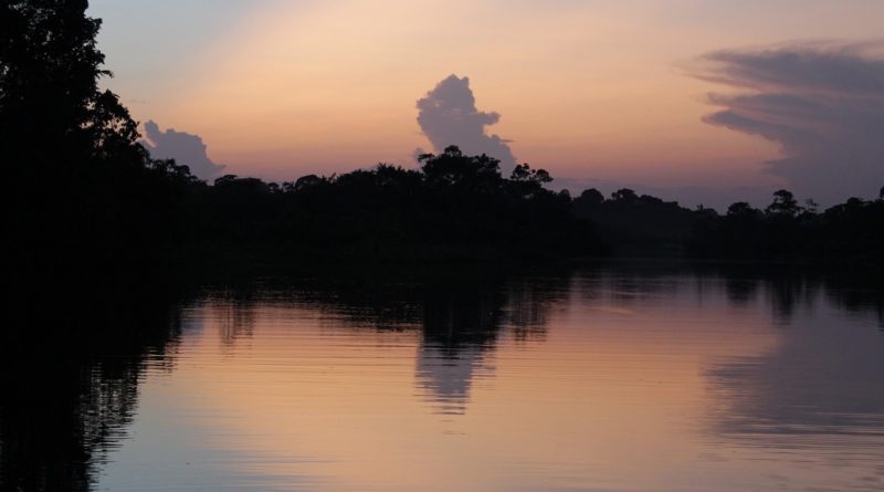 amazonia y el clima