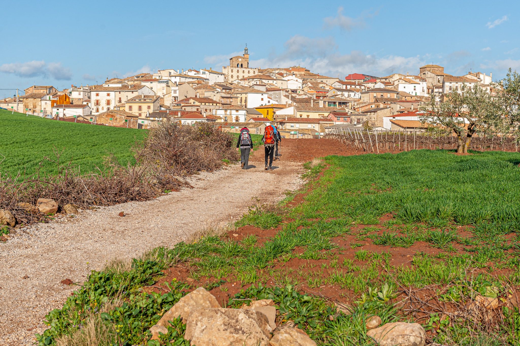 El Camino de Santiago: La ciencia de la transformación holística y el poder del «Umbral»