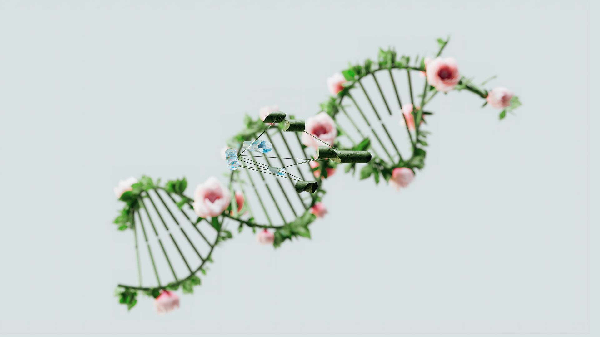 Biohacking Celular: Hábitos diarios para apagar los genes del envejecimiento